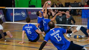 (Miniature) Euro volley assis : Les Bleus s'inclinent